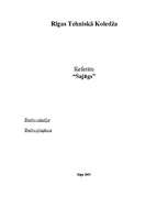 Referāts 'Sajūgs', 1.