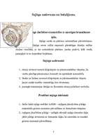 Referāts 'Sajūgs', 3.