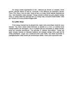 Referāts 'Vikingi', 3.