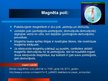 Prezentācija 'Magnētisms', 8.