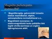 Prezentācija 'Magnētisms', 17.