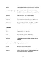 Referāts 'Grūtniecība, dzemdības un pirmais dzīves gads', 14.