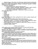 Konspekts 'Biznesa analīze un stratēģija', 2.