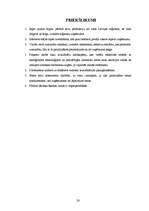 Referāts 'Produkcijas cenu noteikšana uzņēmumā "X", cenu politika', 28.