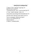 Referāts 'Produkcijas cenu noteikšana uzņēmumā "X", cenu politika', 29.