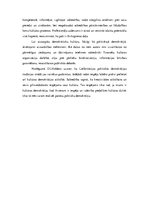 Eseja 'Demokrātiskā kultūra', 10.