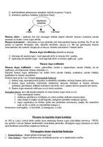 Referāts 'Finanses un kredīts', 4.