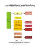 Referāts 'Atkritumu saimniecība Latvijā un Balvos', 9.
