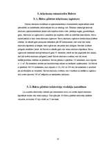 Referāts 'Atkritumu saimniecība Latvijā un Balvos', 19.