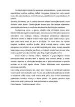 Referāts 'Panika kā sociālpsiholoģisks fenomens', 4.