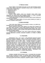 Referāts 'Raksturs. Rakstura struktūra. Rakstura akcentācija. Rakstura audzināšana', 4.