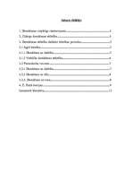 Referāts 'Domāšanas attīstība', 2.