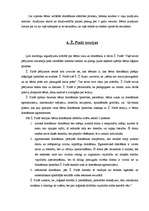 Referāts 'Domāšanas attīstība', 9.