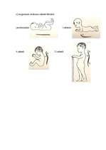 Referāts 'Mugurkaula deformācijas problēmas skolas vecuma bērniem', 32.