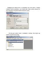 Referāts 'Microsoft SQL server 2008', 10.