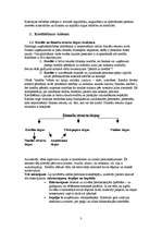 Referāts 'Kredītu sistēma un kredītu veidi', 3.