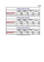 Biznesa plāns 'Individuālā uzņēmuma "Biroju serviss" attīstības biznesa plāns', 19.