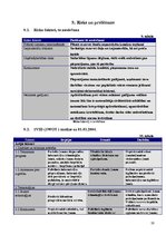 Biznesa plāns 'Individuālā uzņēmuma "Biroju serviss" attīstības biznesa plāns', 20.