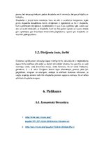 Konspekts 'Pēteris Barisons "Mūzai"', 11.