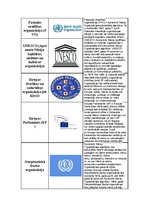 Paraugs 'Starptautiski atzīto pasaules organizāciju tabula', 2.