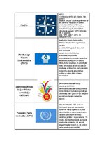 Paraugs 'Starptautiski atzīto pasaules organizāciju tabula', 5.