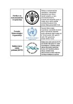 Paraugs 'Starptautiski atzīto pasaules organizāciju tabula', 6.