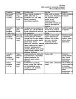 Konspekts 'Bērnu domāšanas attīstība', 1.