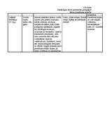 Konspekts 'Bērnu domāšanas attīstība', 2.