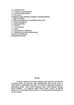 Referāts 'Mārketinga plāns jauna produkta ieviešanai tirgū', 2.