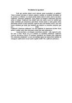 Referāts 'Mārketinga plāns jauna produkta ieviešanai tirgū', 4.