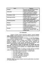 Referāts 'Mārketinga plāns jauna produkta ieviešanai tirgū', 6.