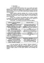 Referāts 'Mārketinga plāns jauna produkta ieviešanai tirgū', 7.