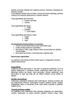 Referāts 'Mārketinga plāns jauna produkta ieviešanai tirgū', 19.