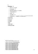 Referāts 'Folklendu karš', 16.