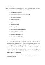 Konspekts 'AS "Lateko" līzings', 1.