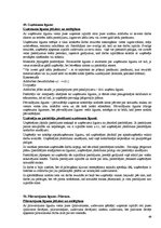 Konspekts 'Civiltiesības. Valsts eksāmena jautājumi un atbildes', 66.