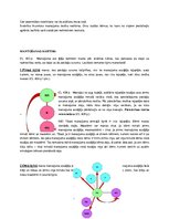 Konspekts 'Likumiskā mantošana', 4.