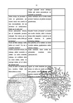 Konspekts 'Integrēto mācību stundu konspekti 2.klasei', 20.