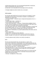 Konspekts 'Romāna "Aija" apraksts', 6.