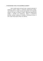 Referāts 'Mārketinga koncepcija tirgvedībā', 18.