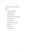 Konspekts 'Travel Itinerary Saaremaa Island', 3.