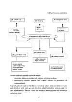 Referāts 'Dokumenti un to atsavinājumi ', 4.