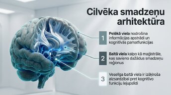 Prezentācija 'Kāpēc mūžizglītība palīdz uzturēt smadzeņu elastību', 3.