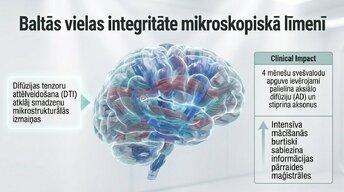 Prezentācija 'Kāpēc mūžizglītība palīdz uzturēt smadzeņu elastību', 9.