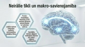 Prezentācija 'Kāpēc mūžizglītība palīdz uzturēt smadzeņu elastību', 10.