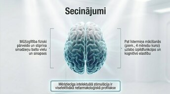 Prezentācija 'Kāpēc mūžizglītība palīdz uzturēt smadzeņu elastību', 13.