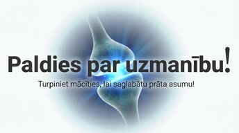 Prezentācija 'Kāpēc mūžizglītība palīdz uzturēt smadzeņu elastību', 16.