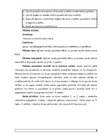 Diplomdarbs 'Sociālais darbs ar deviantas uzvedības pusaudžiem', 8.