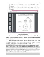 Diplomdarbs 'Sociālais darbs ar deviantas uzvedības pusaudžiem', 13.