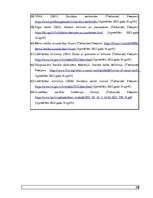 Diplomdarbs 'Sociālais darbs ar deviantas uzvedības pusaudžiem', 85.